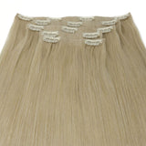 Warm Honey Blonde Invisible Clip-ins
