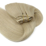 Warm Honey Blonde Invisible Clip-ins